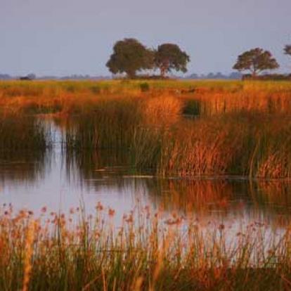 ©Nicolas D. - Tous Droits Réservés Voyage Safari en Namibie