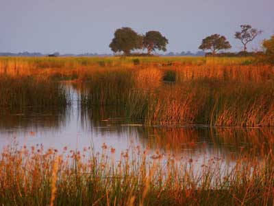 ©Nicolas D. - Tous Droits réservés Voyage Safari en Namibie
