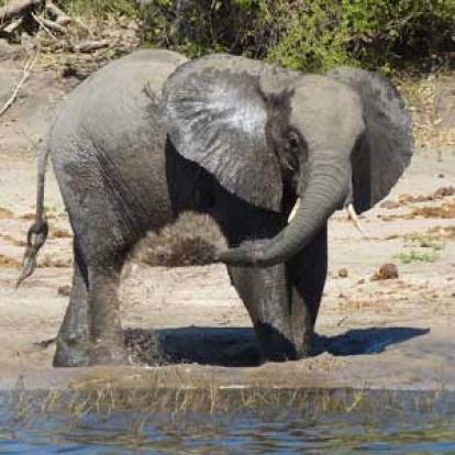 ©Nicolas D. - Tous Droits Réservés ©Nicolas D. - Tous Droits réservés