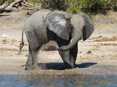 ©Nicolas D. - Tous Droits réservés ©Nicolas D. - Tous Droits réservés