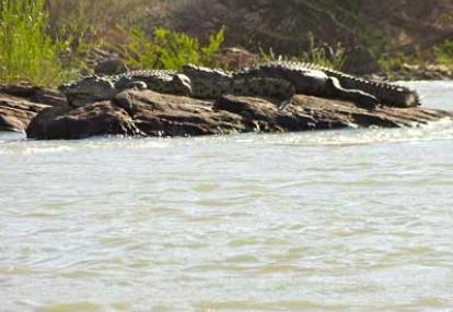 Voyage Safari en Namibie