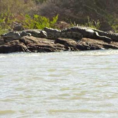 ©Nicolas D. - Tous Droits Réservés Voyage Safari en Namibie