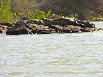 ©Nicolas D. - Tous Droits réservés Voyage Safari en Namibie