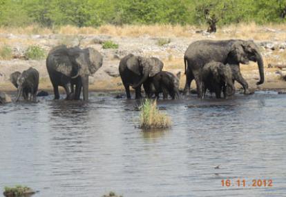 Voyage en Namibie de Guy D.