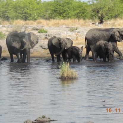 ©Guy D. - Tous Droits Réservés Voyage en Namibie de Guy D.