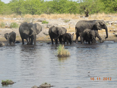 ©Guy D. - Tous Droits réservés Voyage en Namibie de Guy D.