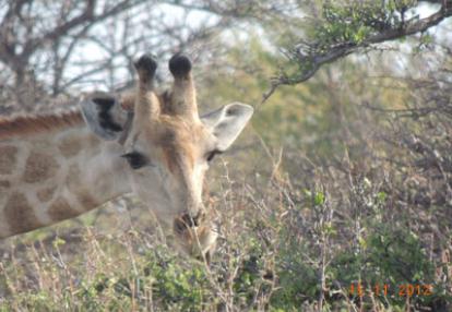 Voyage en Namibie de Guy D.