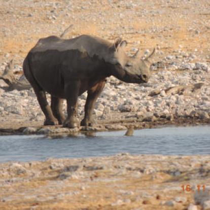 ©Guy D. - Tous Droits Réservés Voyage en Namibie de Guy D.