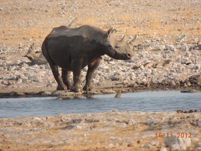 ©Guy D. - Tous Droits réservés Voyage en Namibie de Guy D.