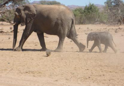 Voyage en Namibie du Groupe de Nathalie A.