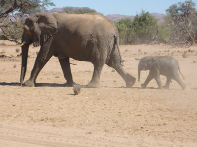 Voyage en Namibie du Groupe de Nathalie A.