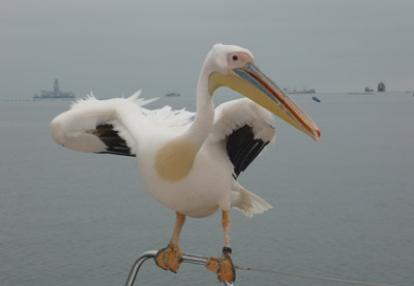Voyage en Namibie du Groupe de Nathalie A.