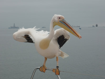 Voyage en Namibie du Groupe de Nathalie A.