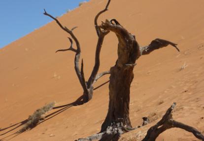 ©Nathalie A. - Tous Droits réservés Voyage en Namibie du Groupe de Nathalie A.