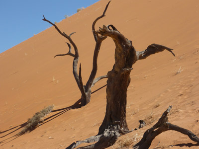 Voyage en Namibie du Groupe de Nathalie A.