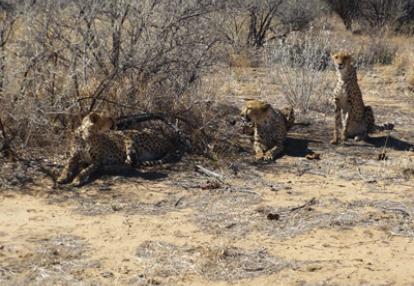 ©Nathalie A. - Tous Droits réservés Voyage en Namibie du Groupe de Nathalie A.