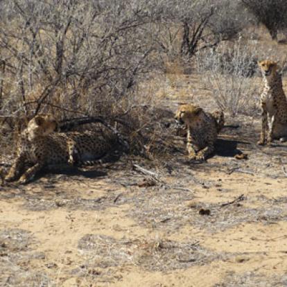 Voyage en Namibie du Groupe de Nathalie A.