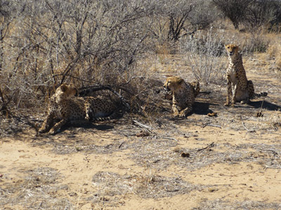 Voyage en Namibie du Groupe de Nathalie A.