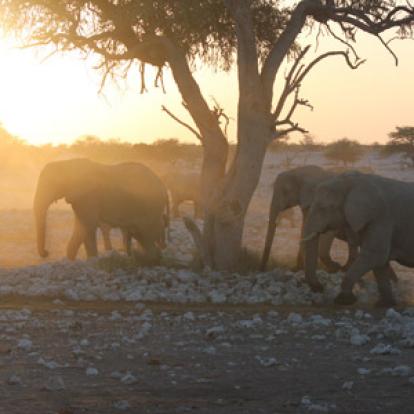 Voyage en Namibie de Céline
