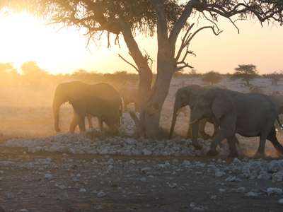 Voyage en Namibie de Céline