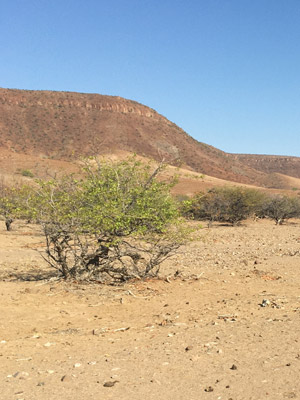 Voyage en Namibie du Groupe d'amis de Bruno