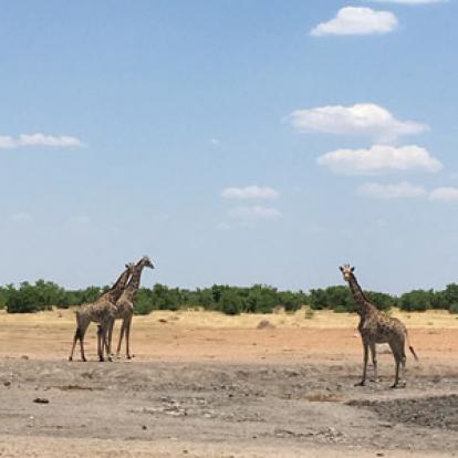 Voyage en Namibie du Groupe d'amis de Bruno