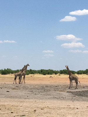 Voyage en Namibie du Groupe d'amis de Bruno