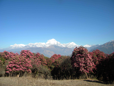 Voyage au Népal de Bernard