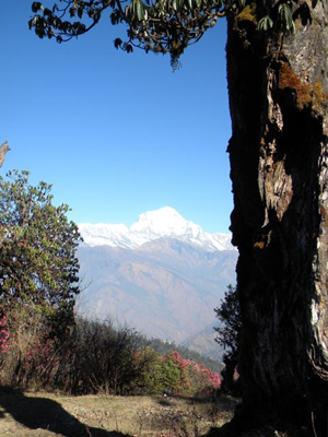 Voyage au Népal de Bernard