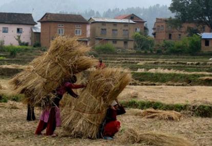 Voyage au Népal de Michel