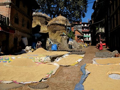 Voyage au Népal de Michel