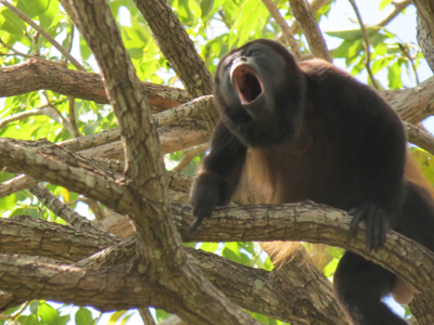©Anne M. - Tous Droits réservés Voyage au Nicaragua d'Anne et Claude