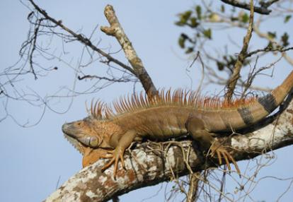 Voyage au Nicaragua du groupe de Marie