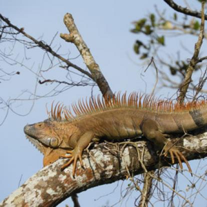 Voyage au Nicaragua du groupe de Marie