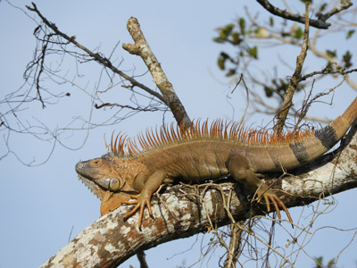 Voyage au Nicaragua du groupe de Marie