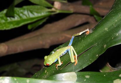 Voyage au Nicaragua du groupe de Marie