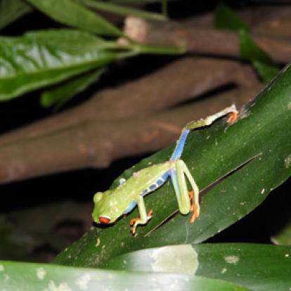 Voyage au Nicaragua du groupe de Marie