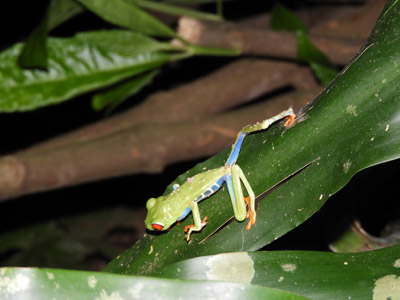 Voyage au Nicaragua du groupe de Marie