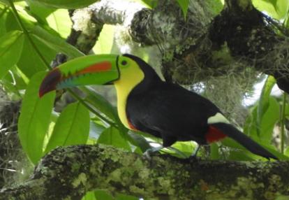 ©Marie B. - Tous Droits réservés Voyage au Nicaragua du groupe de Marie