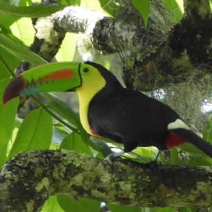 Voyage au Nicaragua du groupe de Marie