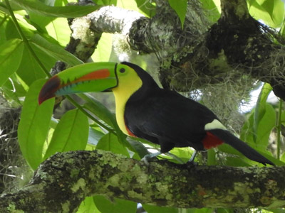 Voyage au Nicaragua du groupe de Marie