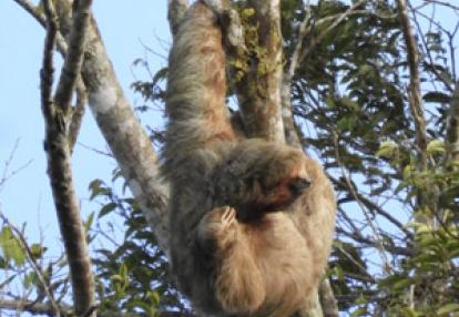 Voyage au Nicaragua du groupe de Marie