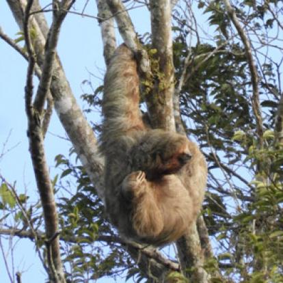 Voyage au Nicaragua du groupe de Marie