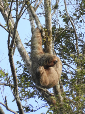Voyage au Nicaragua du groupe de Marie