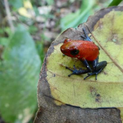 Voyage au Nicaragua de Fabienne et Jean-François