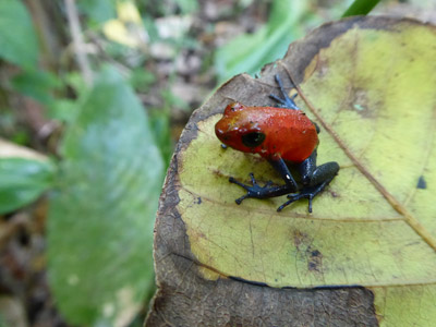 Voyage au Nicaragua de Fabienne et Jean-François