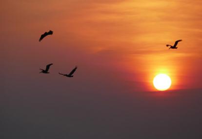 ©Fabienne et Jean-François B. - Tous Droits réservés Voyage au Nicaragua de Fabienne et Jean-François