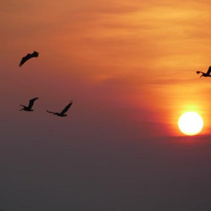 Voyage au Nicaragua de Fabienne et Jean-François