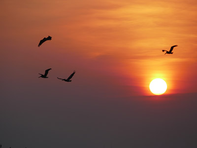Voyage au Nicaragua de Fabienne et Jean-François
