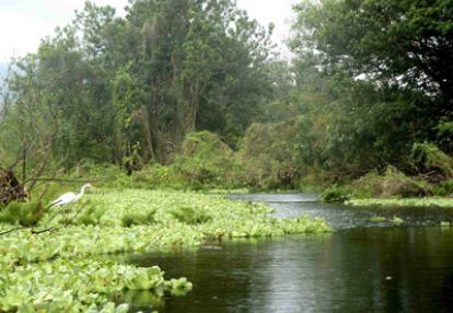 Voyage au Nicaragua du groupe de Jean-Pierre